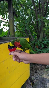 OKINAWAフルーツらんどに投稿された画像（2022/9/19）