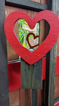 OKINAWAフルーツらんどに投稿された画像（2022/9/19）