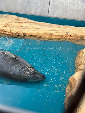 大分マリーンパレス水族館 「うみたまご」に投稿された画像（2022/9/19）
