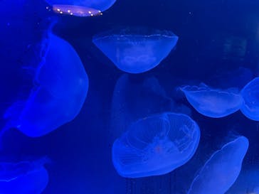 株式会社Gに投稿された画像（2022/9/19）