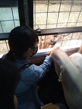 那須サファリパークに投稿された画像（2022/9/19）