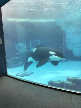 名古屋港水族館に投稿された画像（2022/9/19）