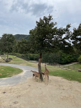 姫路セントラルパークに投稿された画像（2022/9/19）