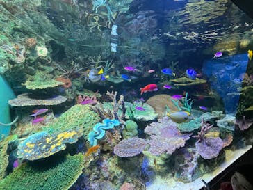 サンシャイン水族館に投稿された画像（2022/9/19）