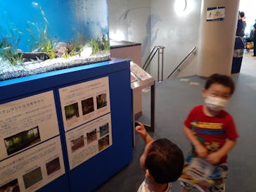 しながわ水族館に投稿された画像（2022/9/19）