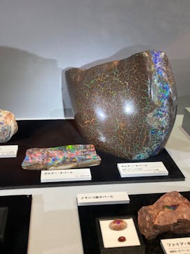 特別展「宝石　地球がうみだすキセキ」（名古屋市科学館　理工館地下２階イベントホール）に投稿された画像（2022/9/19）