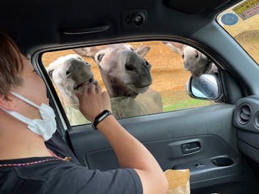 東北サファリパークに投稿された画像（2022/9/19）