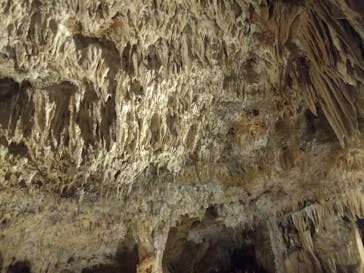 石垣島鍾乳洞に投稿された画像（2022/9/19）