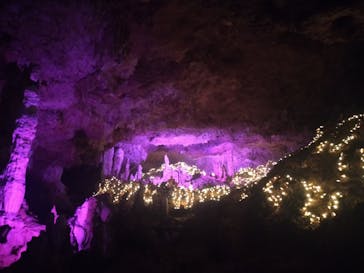 石垣島鍾乳洞に投稿された画像（2022/9/19）