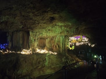 石垣島鍾乳洞に投稿された画像（2022/9/19）