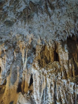 石垣島鍾乳洞に投稿された画像（2022/9/19）