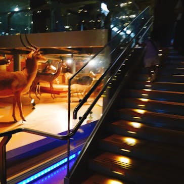 国立科学博物館に投稿された画像（2022/9/19）