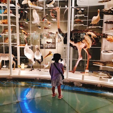 国立科学博物館に投稿された画像（2022/9/19）