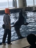 アクアワールド茨城県大洗水族館に投稿された画像（2022/9/19）