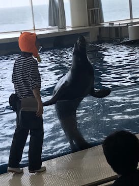 アクアワールド茨城県大洗水族館に投稿された画像（2022/9/19）