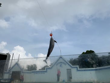 しながわ水族館に投稿された画像（2022/9/19）