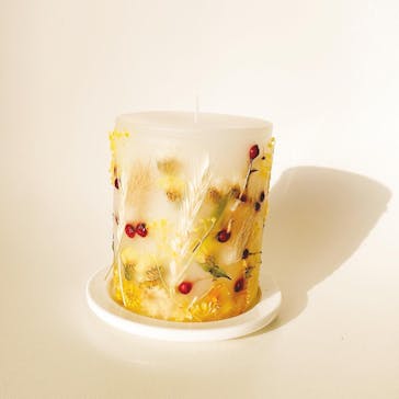 ずこうしつ〜sugamo〜に投稿された画像（2022/9/19）