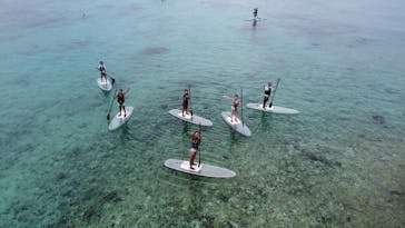 宮古島マリン SUGAR3（シュガースリー）に投稿された画像（2022/9/19）