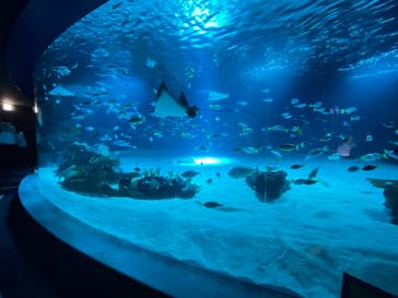 サンシャイン水族館に投稿された画像（2022/9/19）