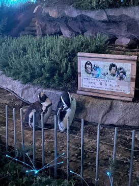 サンシャイン水族館に投稿された画像（2022/9/19）