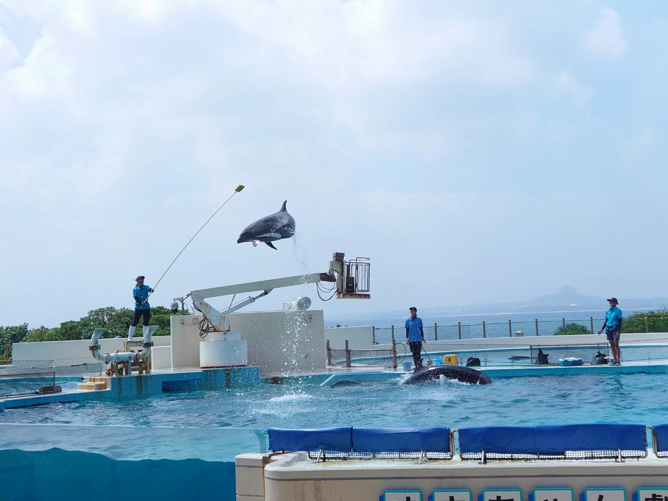 中古】 見て、さわって、癒される水族館ぴあ ＡＱＵＡＲＩＵＭ