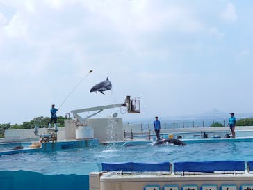 沖縄美ら海水族館に投稿された画像（2022/9/19）
