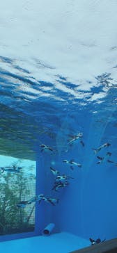 サンシャイン水族館に投稿された画像（2022/9/19）
