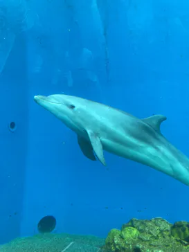 横浜・八景島シーパラダイスに投稿された画像（2022/9/19）