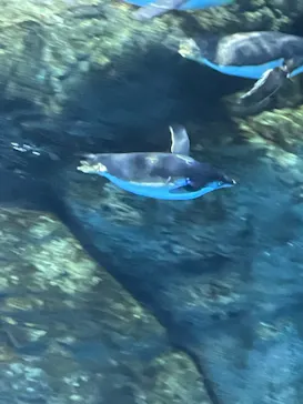 横浜・八景島シーパラダイスに投稿された画像（2022/9/19）