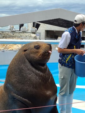 大分マリーンパレス水族館 「うみたまご」に投稿された画像（2022/9/19）