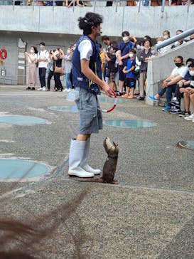 大分マリーンパレス水族館 「うみたまご」に投稿された画像（2022/9/19）