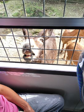 那須サファリパークに投稿された画像（2022/9/20）