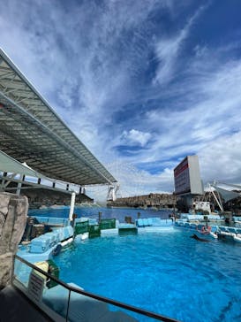 名古屋港水族館に投稿された画像（2022/9/20）