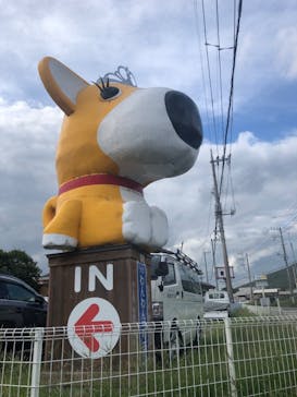 つくばわんわんランドに投稿された画像（2022/9/20）