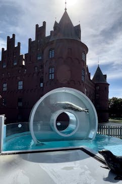 登別マリンパークニクスに投稿された画像（2022/9/20）