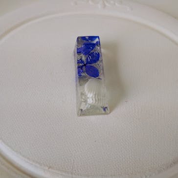 ずこうしつ〜sugamo〜に投稿された画像（2022/9/20）