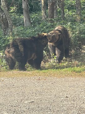 サホロリゾート　ベア･マウンテンに投稿された画像（2022/9/20）