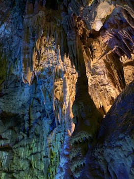 あぶくま洞に投稿された画像（2022/9/20）