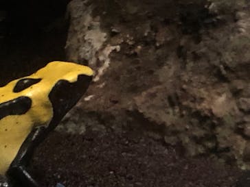 サンシャイン水族館に投稿された画像（2022/9/20）