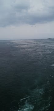 徳島県立 渦の道に投稿された画像（2022/9/20）