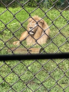 那須サファリパークに投稿された画像（2022/9/21）