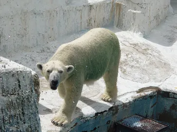 天王寺動物園に投稿された画像（2022/9/21）