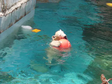 天王寺動物園に投稿された画像（2022/9/21）