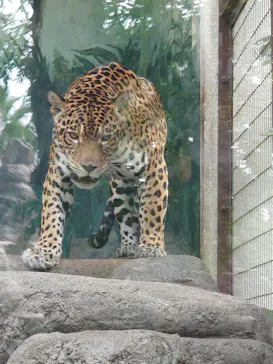 天王寺動物園に投稿された画像（2022/9/21）