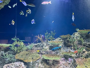 マリンワールド海の中道に投稿された画像（2022/9/21）