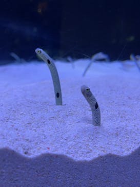 マリンワールド海の中道に投稿された画像（2022/9/21）