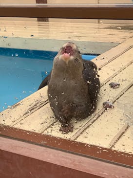 ゼロ距離水族館 伊勢シーパラダイスに投稿された画像（2022/9/21）