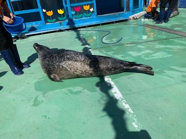 ゼロ距離水族館 伊勢シーパラダイスに投稿された画像（2022/9/21）