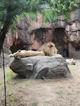 天王寺動物園に投稿された画像（2022/9/21）