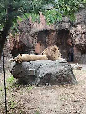 天王寺動物園に投稿された画像（2022/9/21）